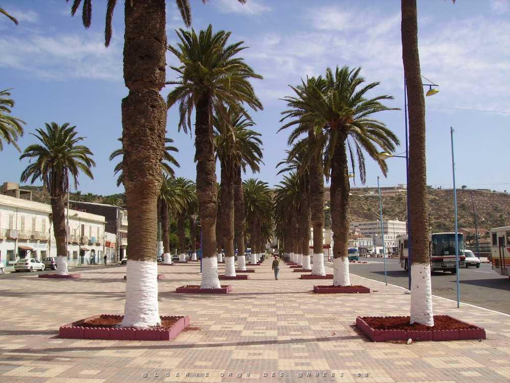 ARZEW 2008 3.jpg